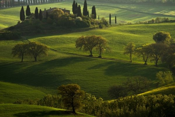 Progetto senza titolo - 1