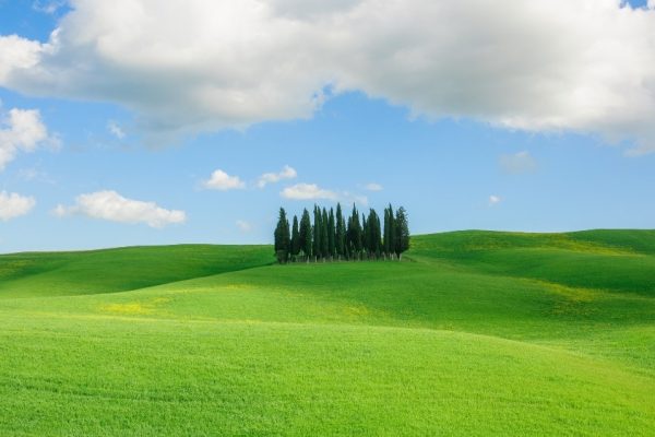 Progetto senza titolo - 1