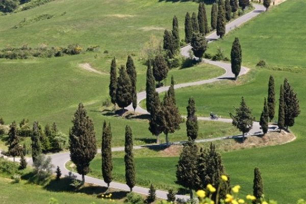 Progetto senza titolo - 1