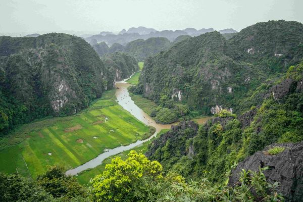 Vietnam (20)