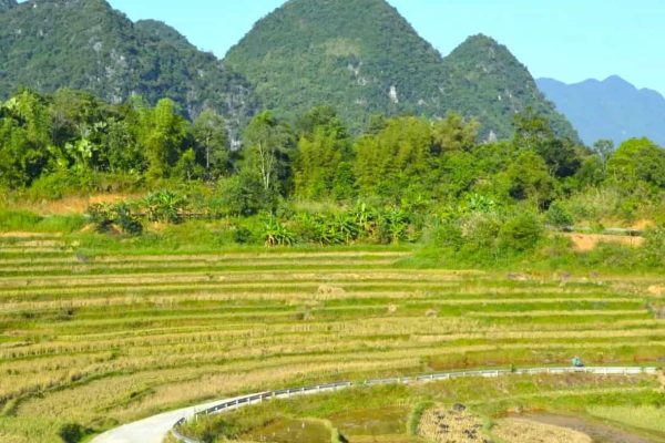 Vietnam_17