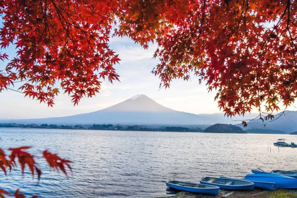 giappone-tempodiviaggi-14