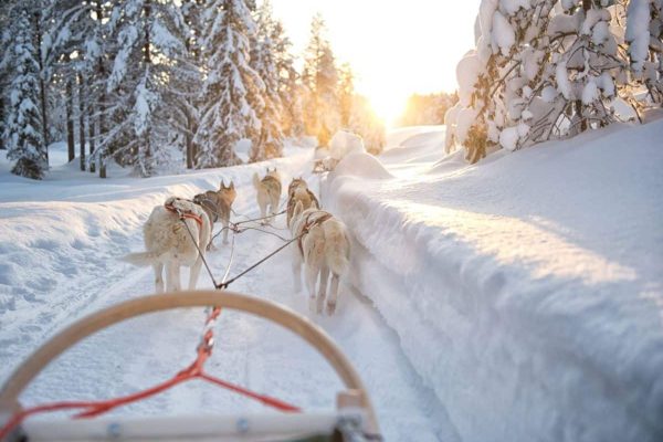 lapponia-tempodiviaggi-16